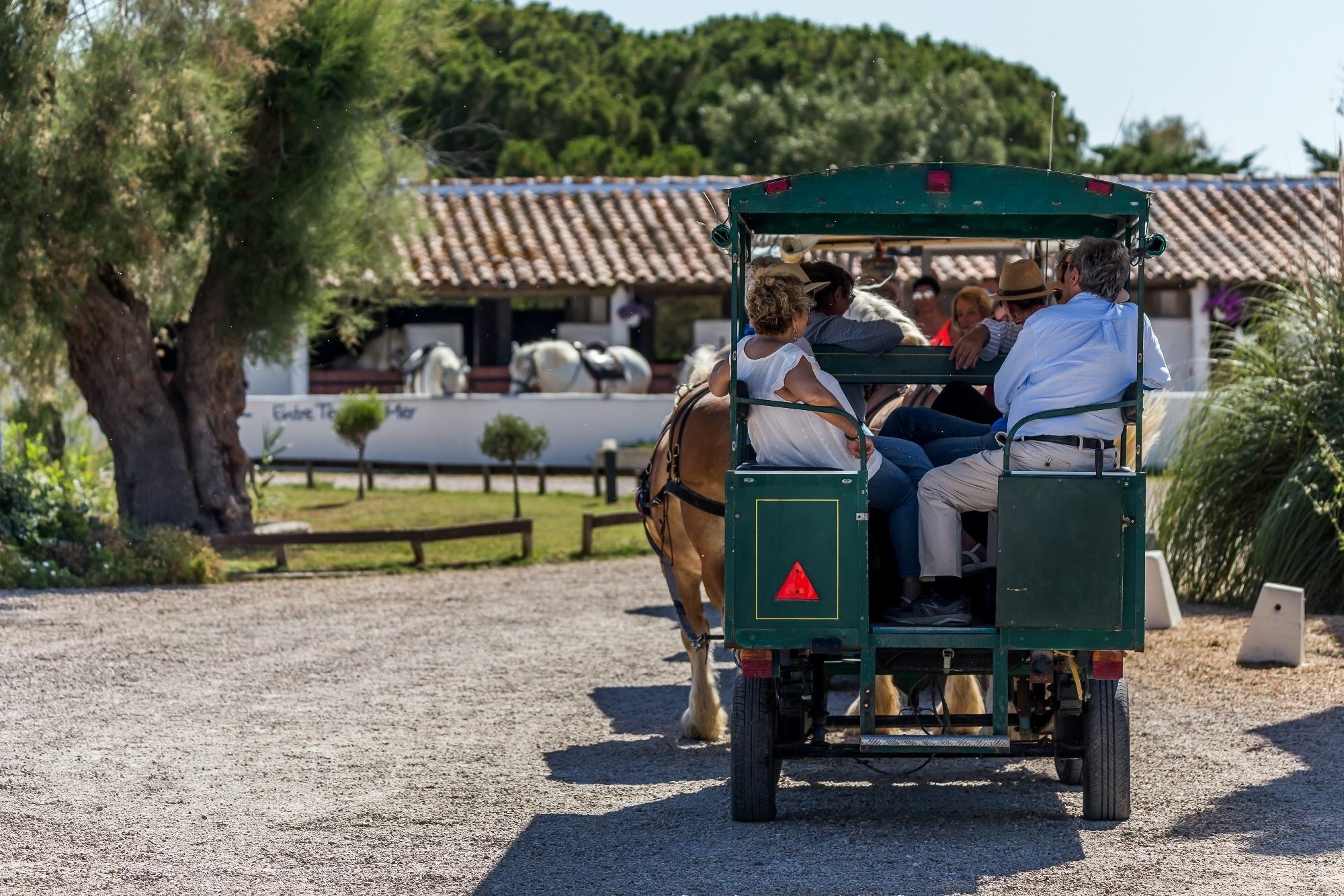 Les Bains Gardians Hotel Saintes-Maries-de-la-Mer Eksteriør billede
